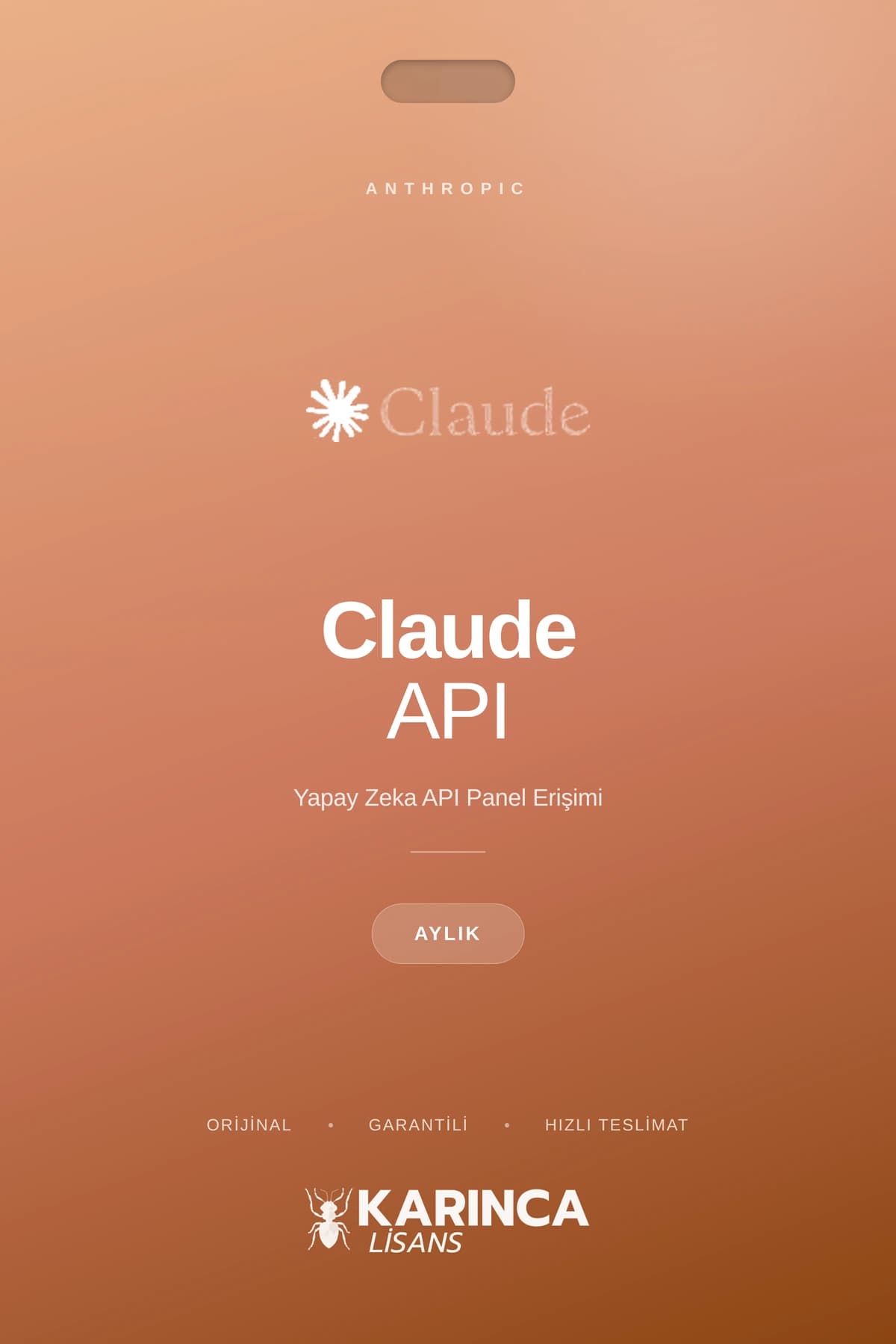 claude lisans satın al